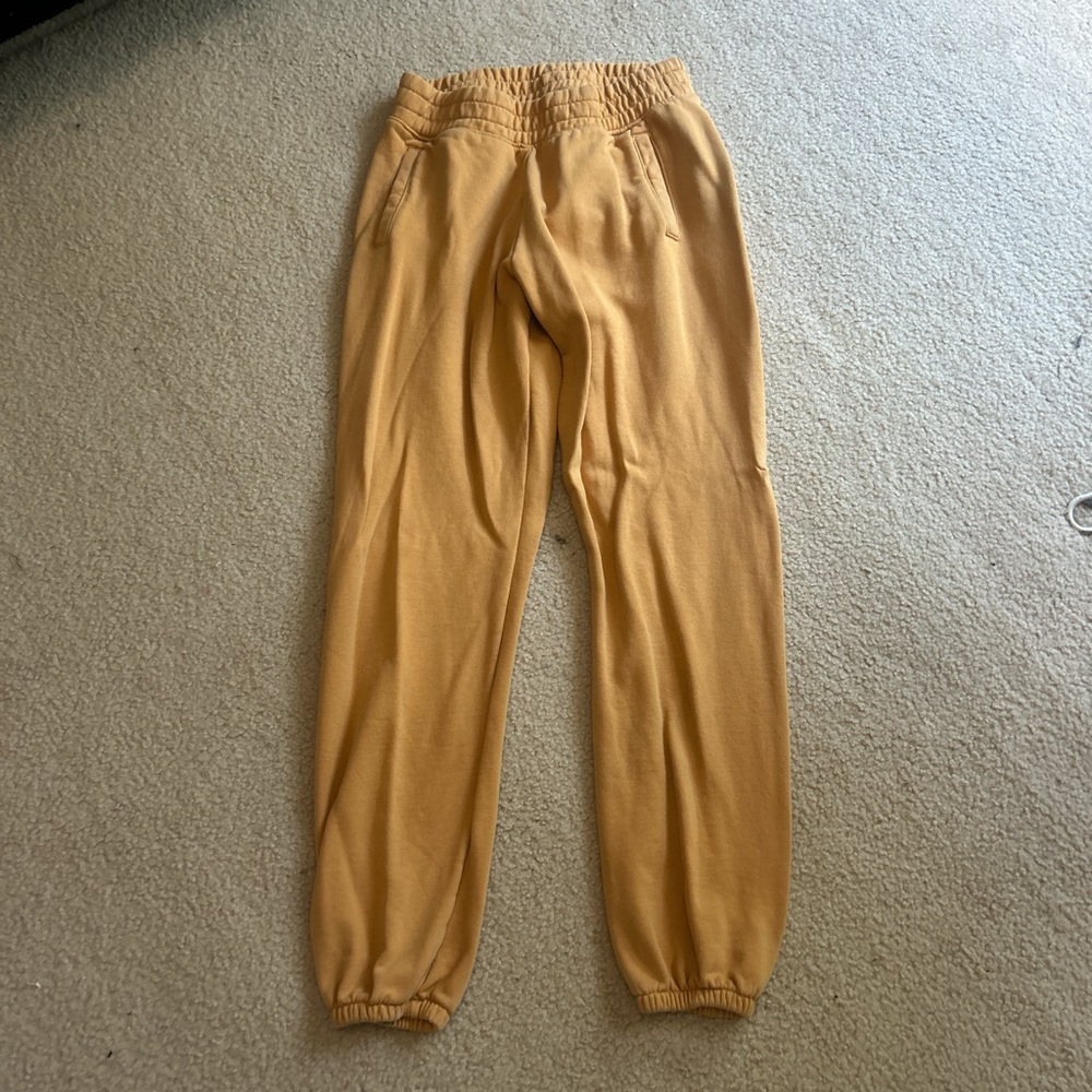 Aerie Tan Jogger Pants